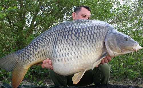 Mervyn Pennell - French Lake 50lb 4oz