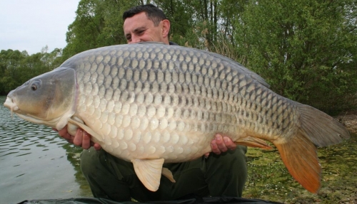 Mervyn Pennell - French Lake 52lb 8oz