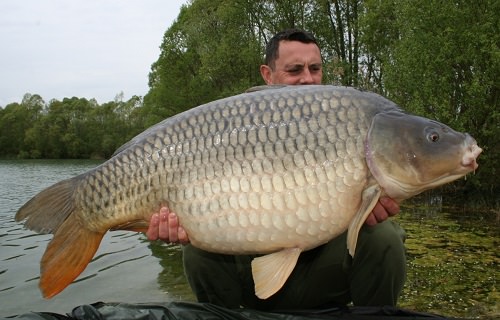 Mervyn Pennell - French Lake 52lb 8oz