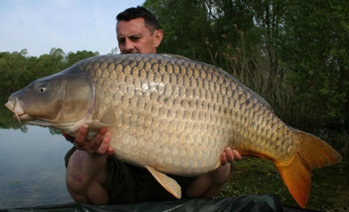 Mervyn Pennell - French Lake 52lb 14oz