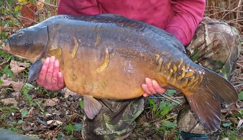 Andrew Huckstep - Fox Pool 30lb 0oz