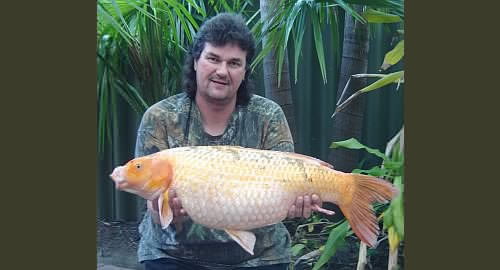 Andy Wallis - Australia 23lb 0oz