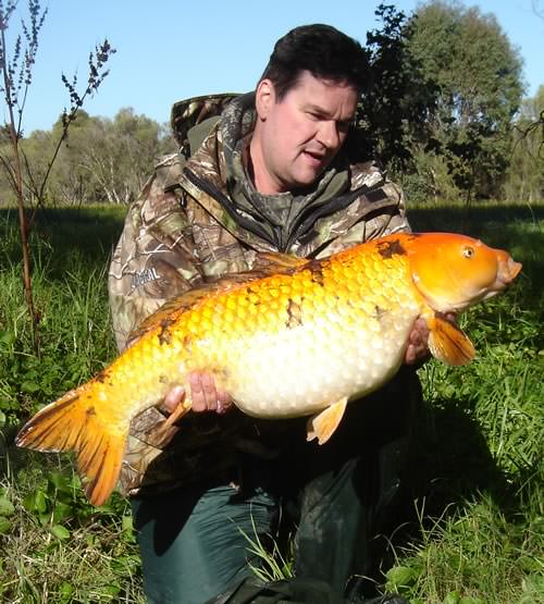 Andy Wallis - Australia 26lb 12oz