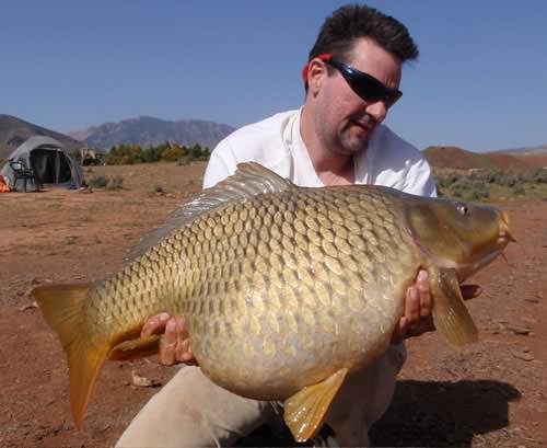 Andy Wallis - Bin El Ouidane 32lb 8oz