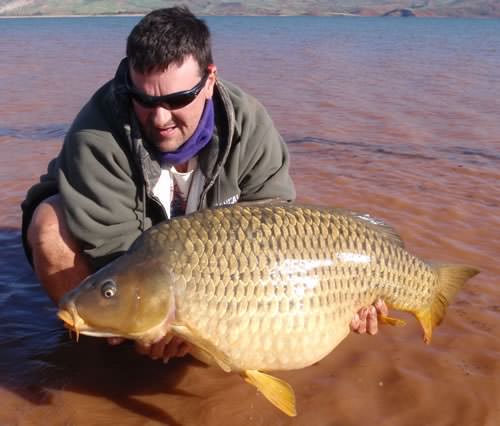 Andy Wallis - Bin El Ouidane 37lb 12oz