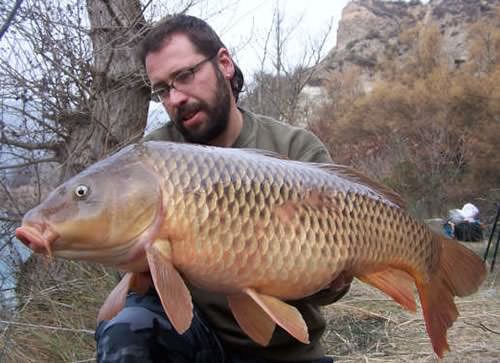 Carpas Smith - Spain 28lb 12oz