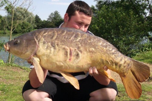 Curtis Squire - Waveney Valley Lakes 19lb 7oz