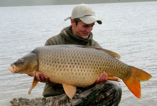 Dan Sales - Spain 36lb 8oz