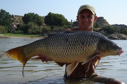 Dan Sales - Spain 31lb 8oz