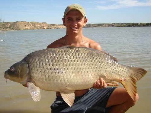 Dan Sales - Caspe, Spain 36lb 0oz