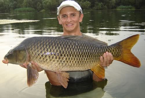 Dan Sales - Ebro, Spain 27lb 0oz