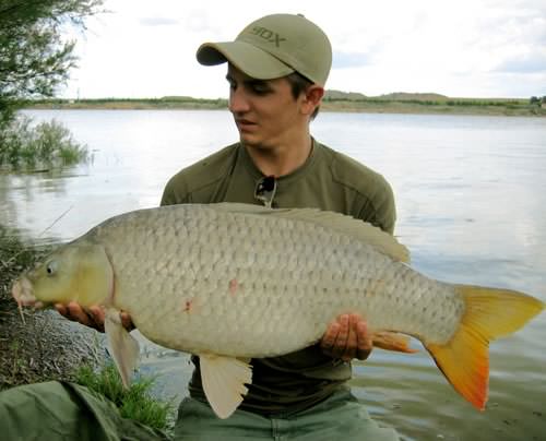 Dan Sales - Caspe, Spain 28lb 0oz