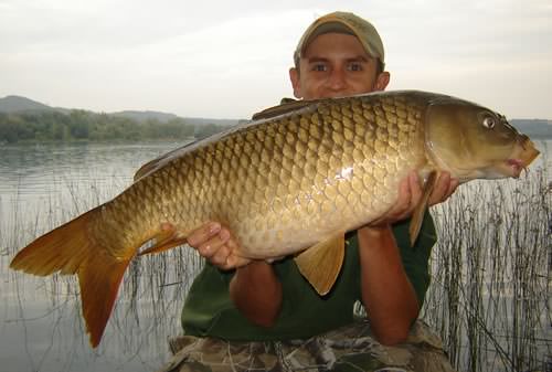 Dan Sales - Spain 20lb 0oz