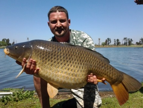 Dirk Engelbrecht - South African Lake 31lb 5oz