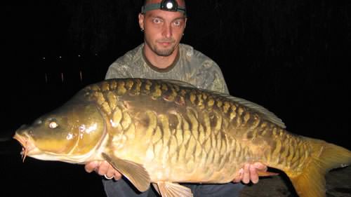 Edy Boss - Tancabesti 36lb 3oz