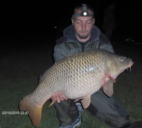 Edy Boss - Cornesti 30lb 8oz