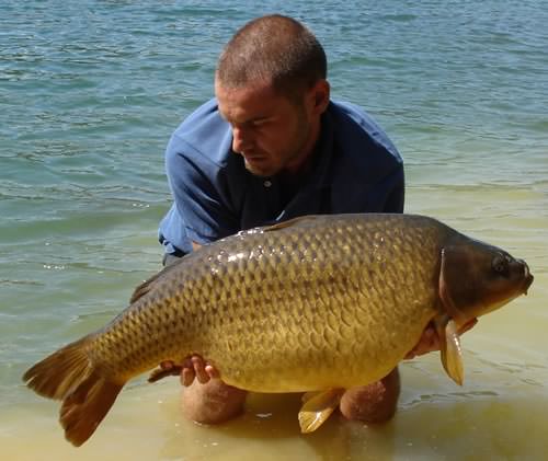 Fabio Pingani - Brasimone Lake 28lb 6oz