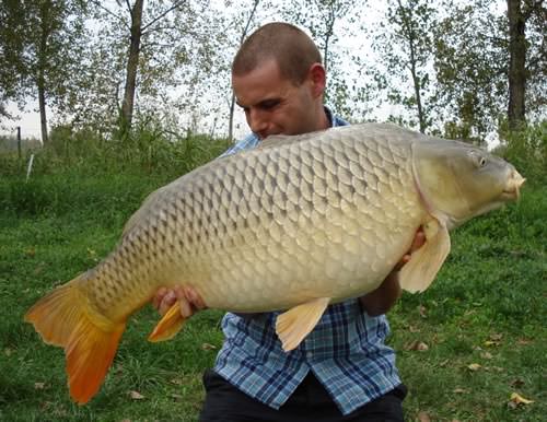 Fabio Pingani - Italian Lake 37lb 8oz