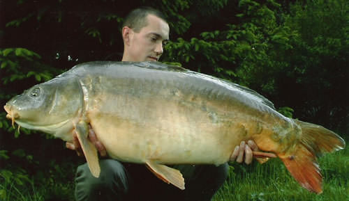 Gareth Jenkins - Utopia 36lb 8oz