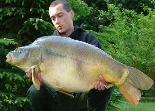 Gareth Jenkins - Utopia 40lb 8oz