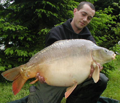 Gareth Jenkins - Utopia 33lb 0oz