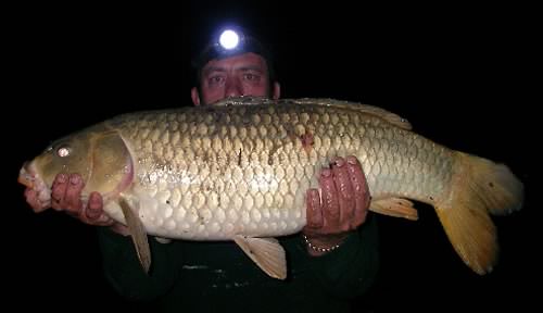 Graham Bateman - Horseshoe Shefford 18lb 3oz