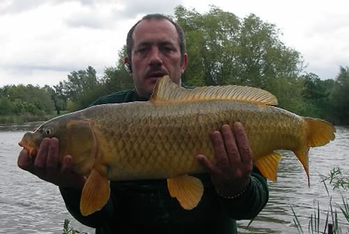 Graham Bateman - Ivel Valley 13lb 6oz