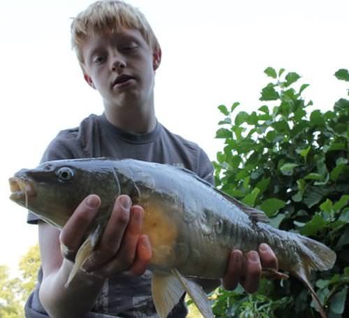 Harry Ferns - Beacon View 4lb 0oz