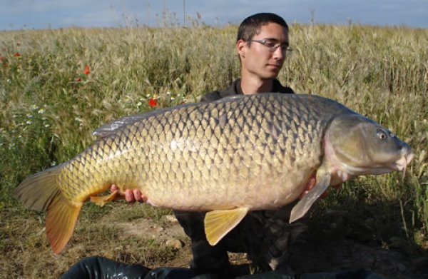 Jorge Jimenez - Ebro 43lb 4oz