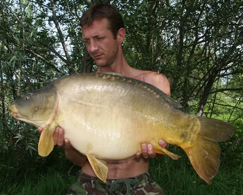 Karl King - Etang de la Croix Blanche 29lb 1oz