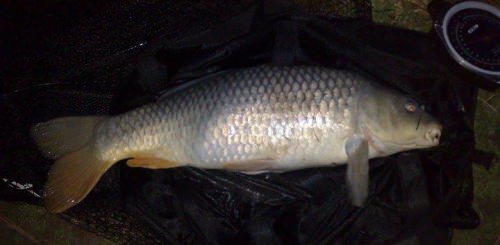 Marc Butterly - Elmbridge 15lb 0oz