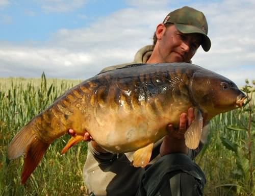 Pete Kelly - Cleverley Mere 25lb 8oz