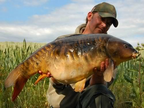 Pete Kelly - Cleverley Mere 21lb 8oz