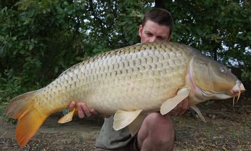 Pete Kelly - Moorlands 36lb 8oz