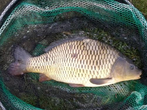 Peter Morris - Yeadon Tarn 3lb 0oz