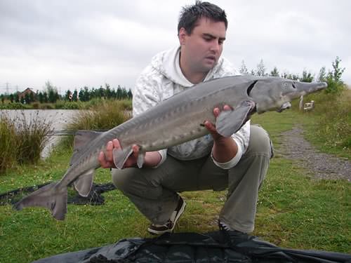 Scott Latham - Coventry Lake 19lb 8oz