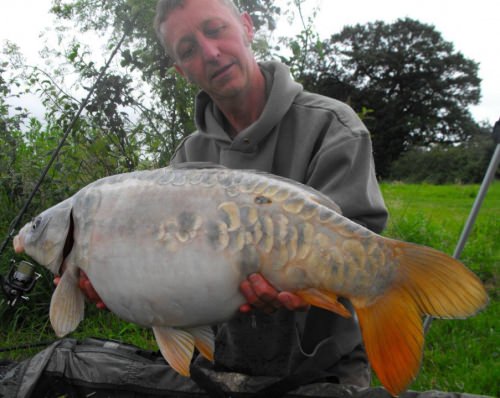 Steve Dimmer - Coking Farm 17lb 12oz