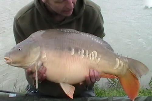 Steve Dimmer - Todber Manor 20lb 10oz