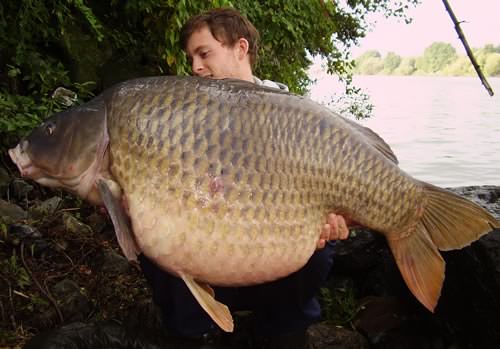 Tom Brothier - River Meuse 55lb 8oz