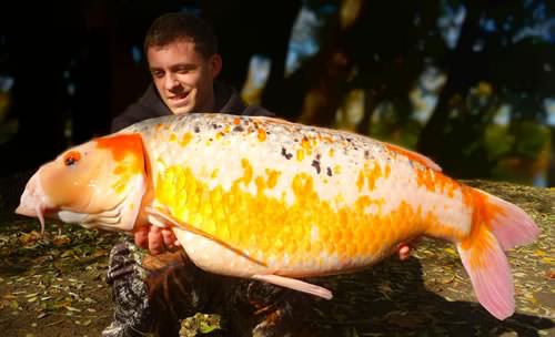 Tom Brothier - French Lake 26lb 5oz