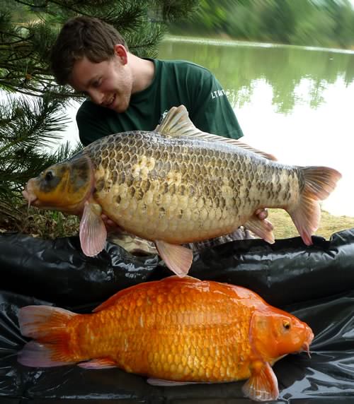 Tom Brothier - French Lake 20lb 0oz