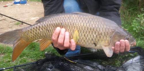 Jamie Bonner - Eureka Fisheries 4lb 0oz