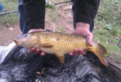 Jamie Bonner - Eureka Fisheries 2lb 0oz