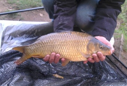 Jamie Bonner - Eureka Fisheries 2lb 0oz